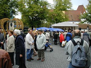 Herbstdult. Foto: Kurt Scheuerer