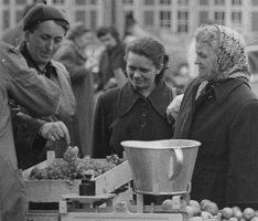 Wochenmarkt Ingolstadt 1955. Foto: Kurt Scheuerer