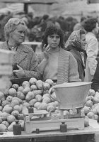 Wochenmarkt Ingolstadt 1955. Foto: Kurt Scheuerer